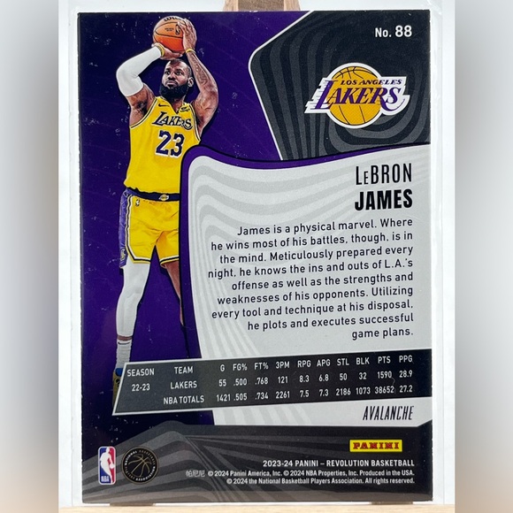 LeBron James - Picture 2 of 2